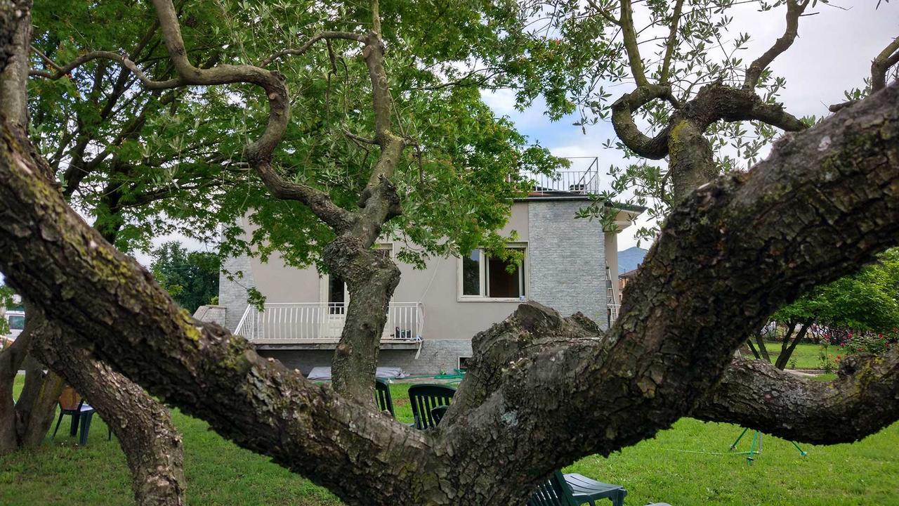 La Locanda Francigena Bed & Breakfast Lucca Eksteriør bilde